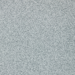 ALTRO WALKWAY VM 2,0 R10