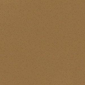 ALTRO WALKWAY VM 2,0 R10