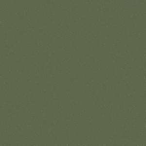 ALTRO WALKWAY VM 2,0 R10