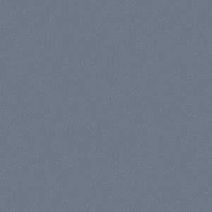 ALTRO WALKWAY VM 2,0 R10