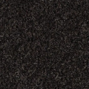 FORBO CORAL BRUSH 200 CM