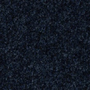 FORBO CORAL BRUSH 200 CM